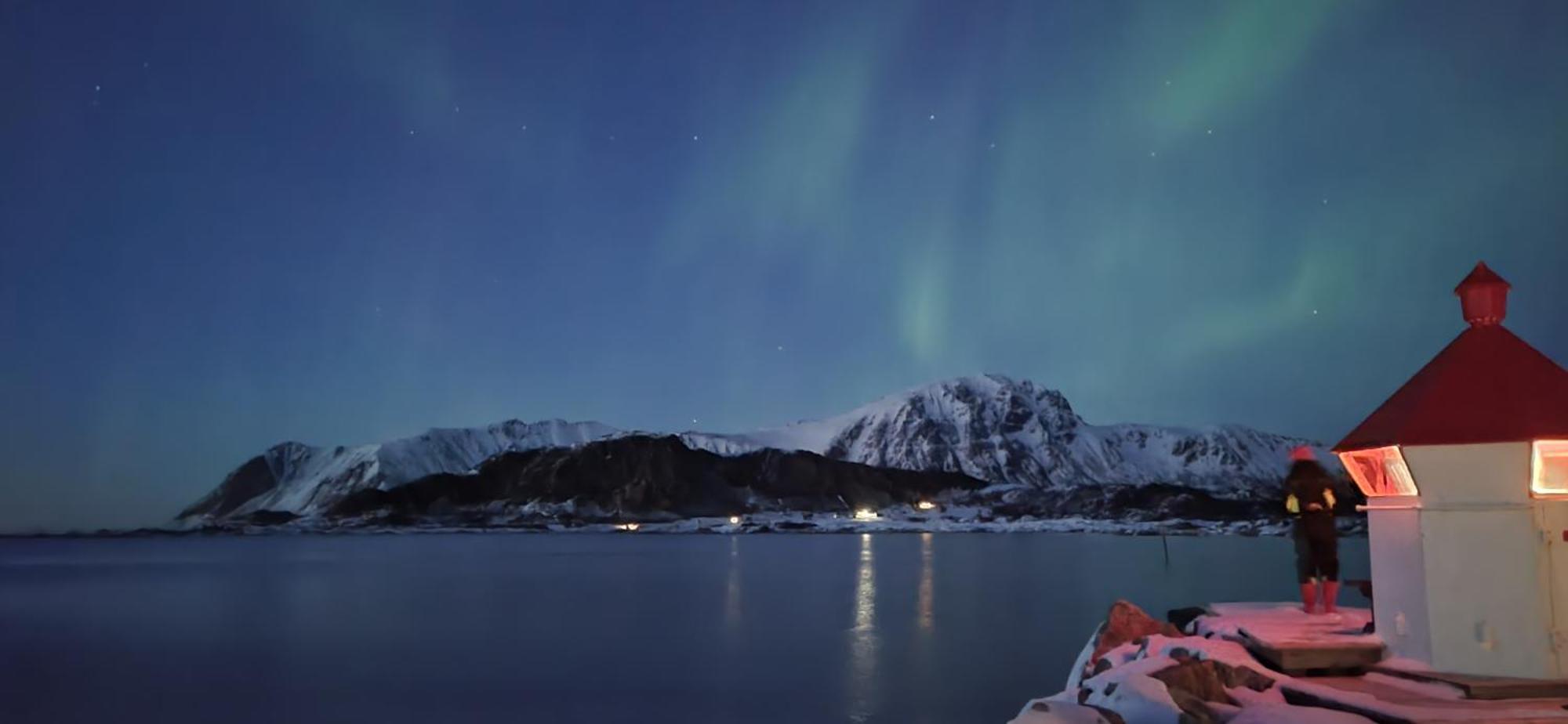 Arctic Lofoten Retreat - Enjoy The Silence! Vestvagoy エクステリア 写真